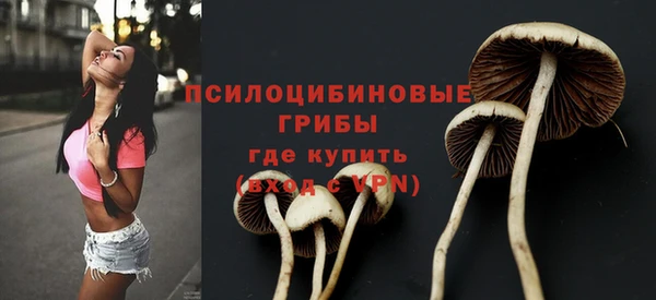 ешки Видное