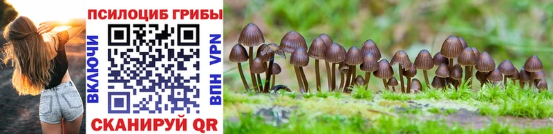 Галлюциногенные грибы Psilocybine cubensis  Рославль 